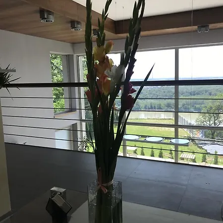 River View 3*