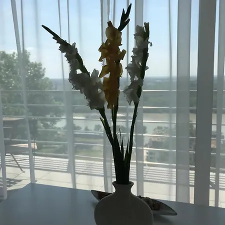 River View Отель 3*